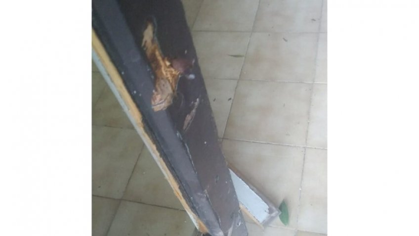 Robo y vandalismo en las instalaciones del IPAT